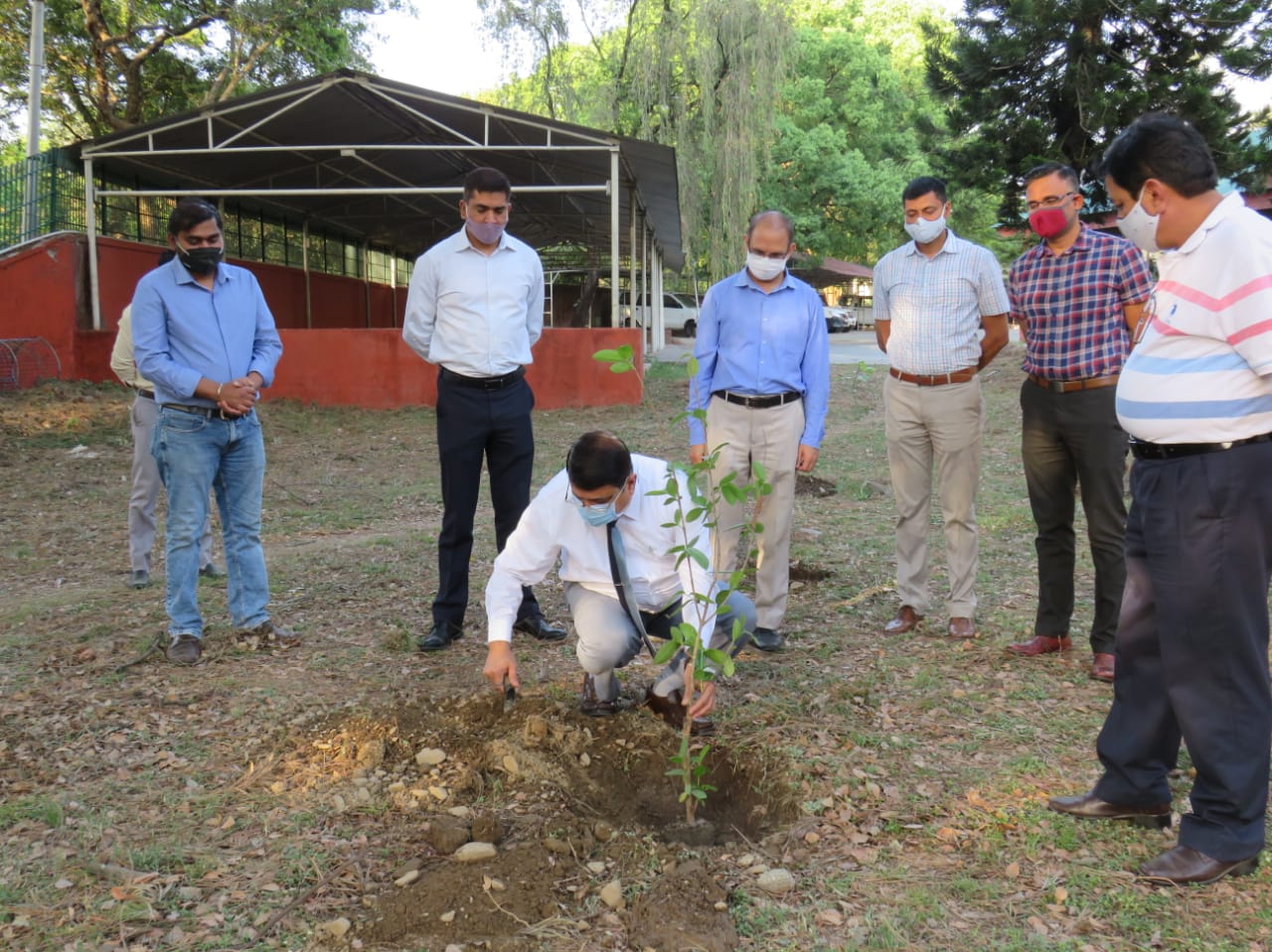Tree Plantation by Shri Naveen Tomar, Surveyor General of India	