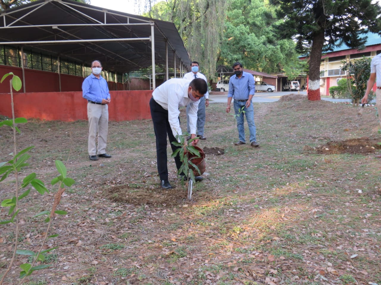 Tree Plantation by Col Rakesh Singh, DSG Spl. Zone